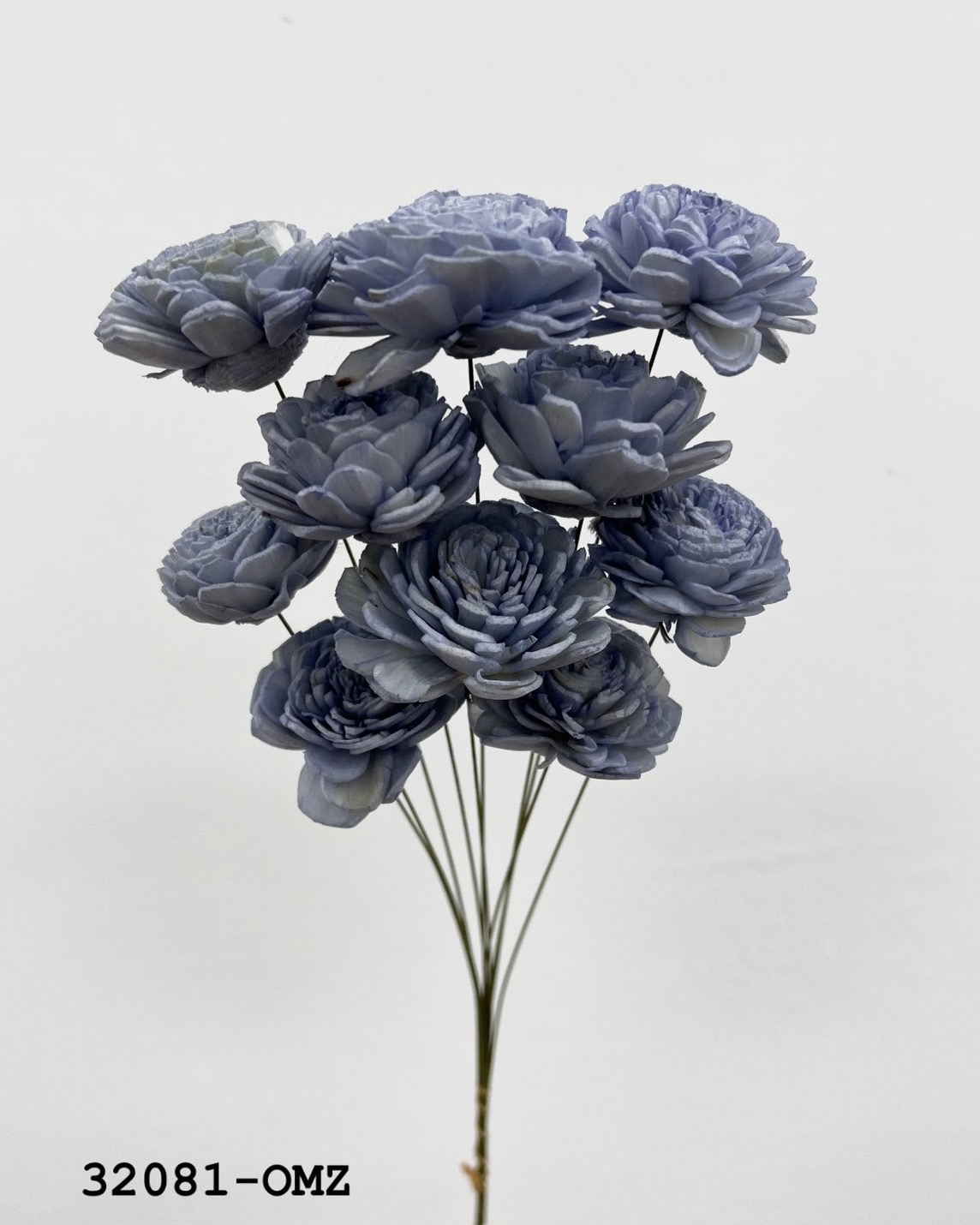 日本索拉玫瑰花 32081-OMZ