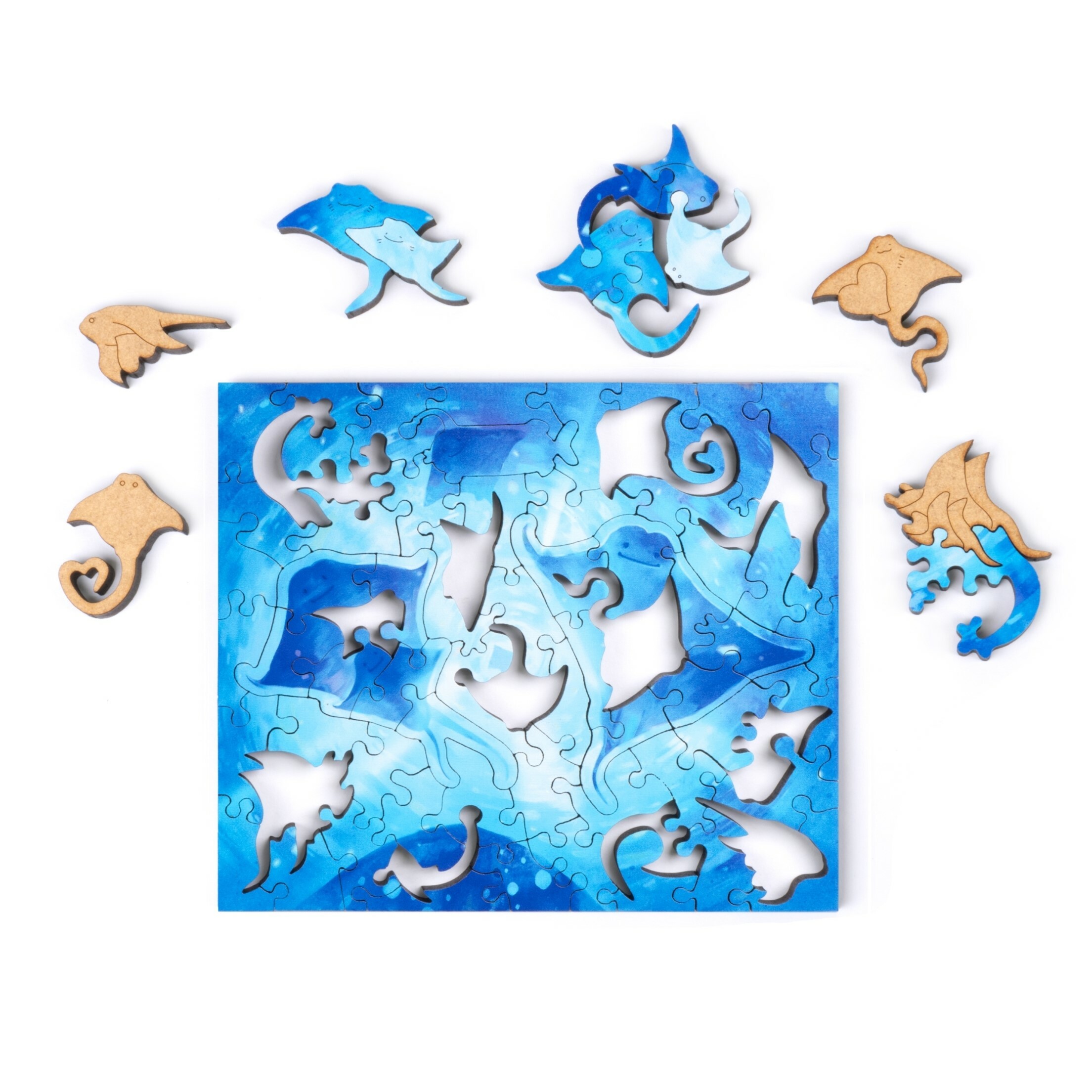 魟魚寶貝 Stingray Baby