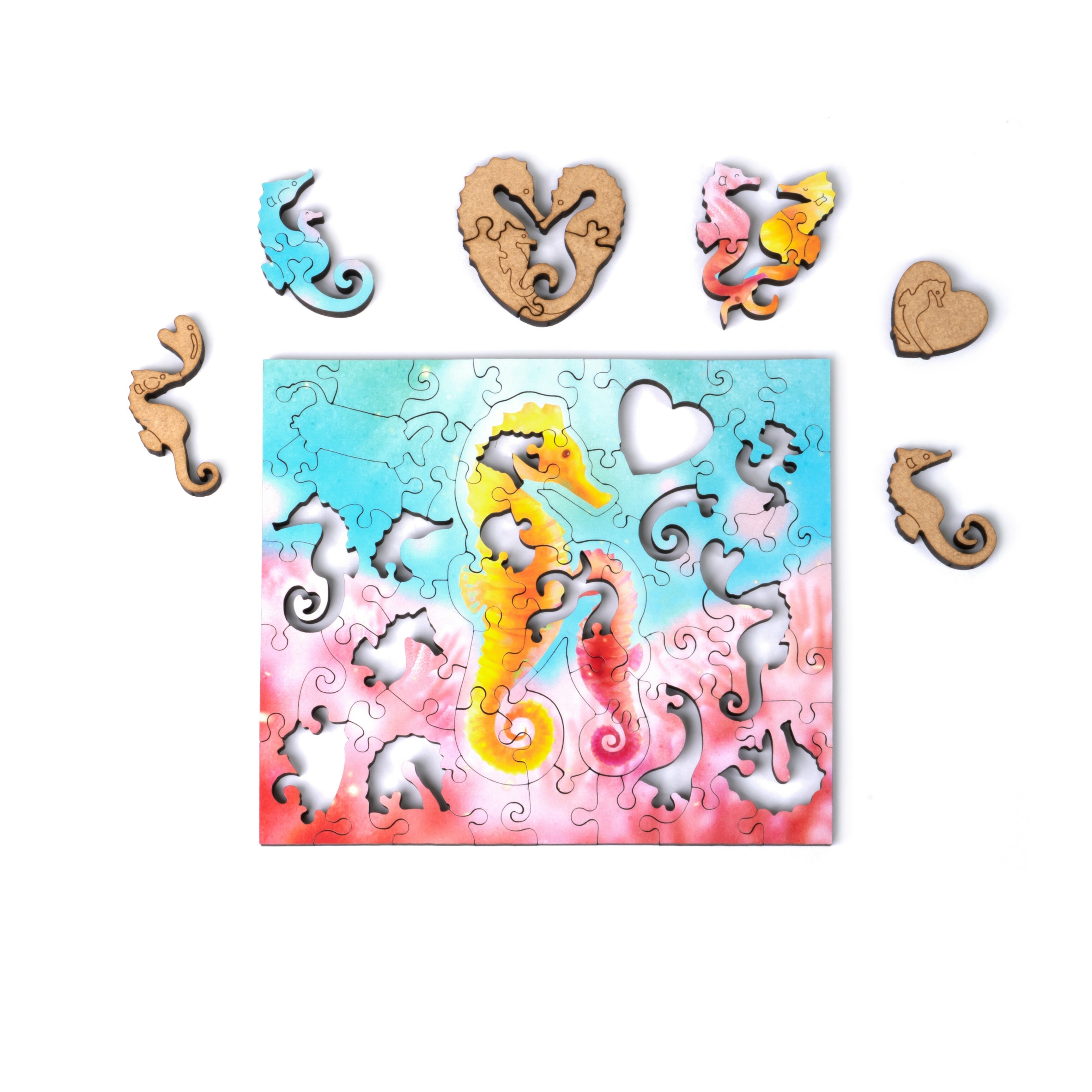 海馬寶貝 Seahorse Baby