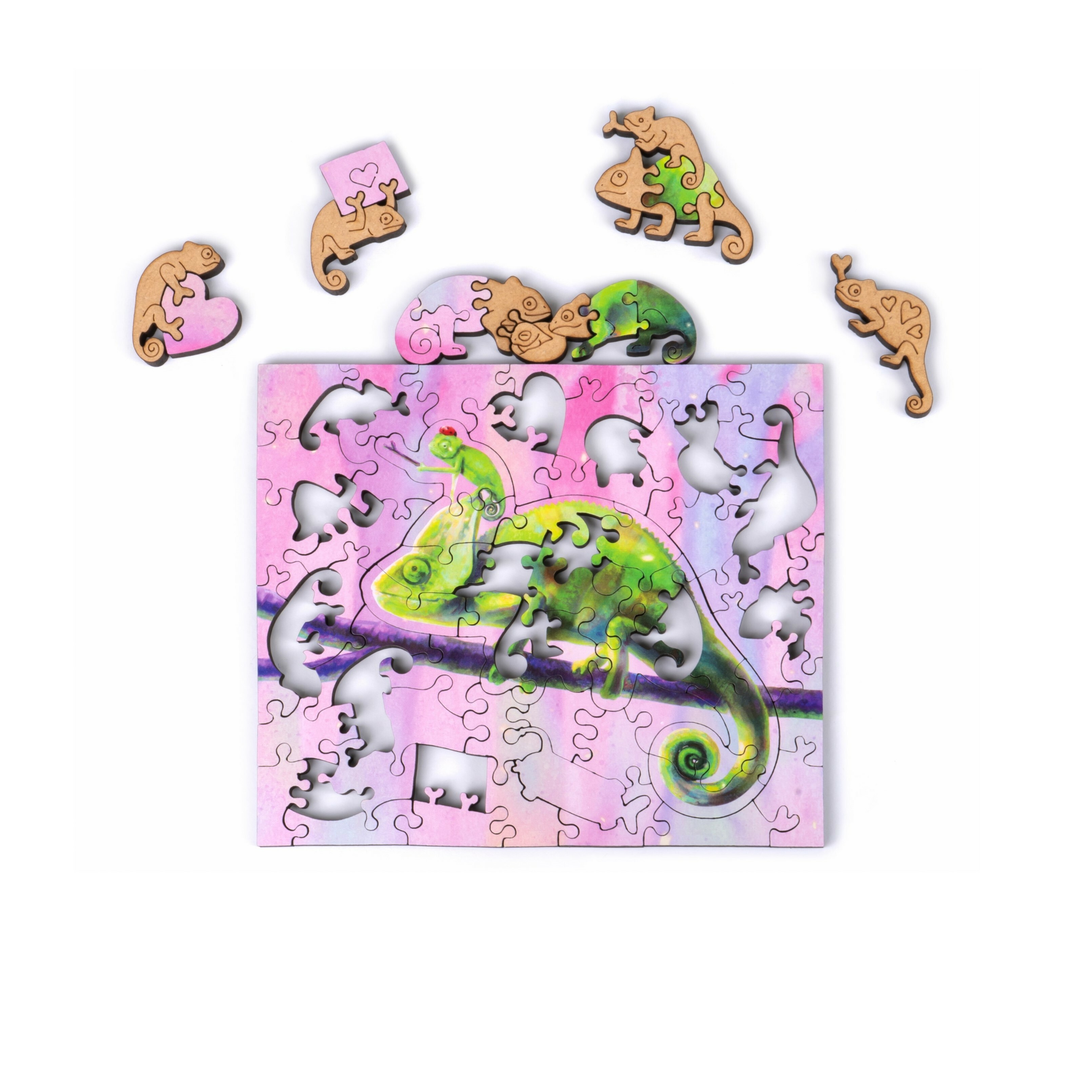 變色龍寶貝 Chameleon Baby