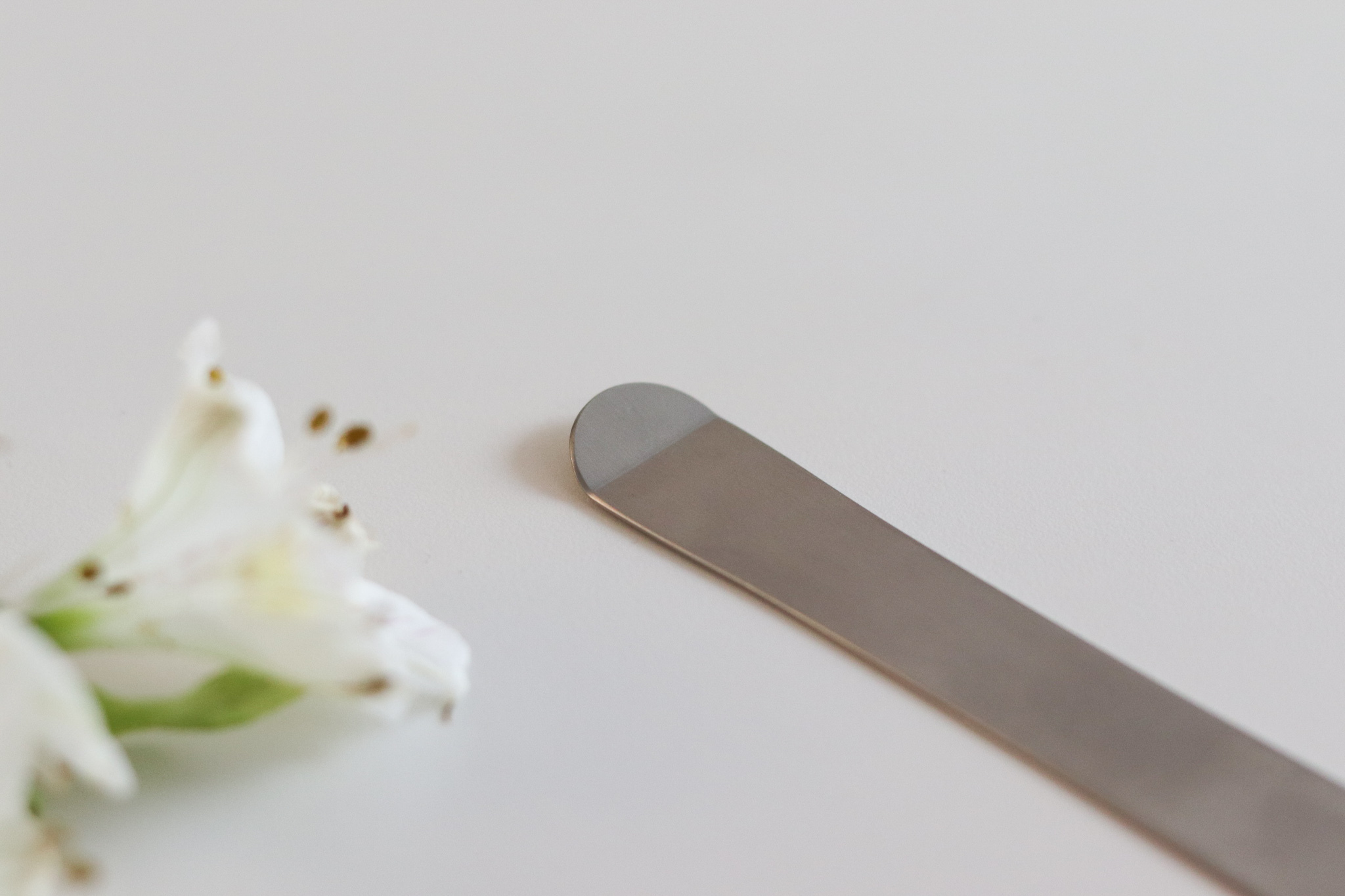 日本 逸品物創 不鏽鋼 多用途匙