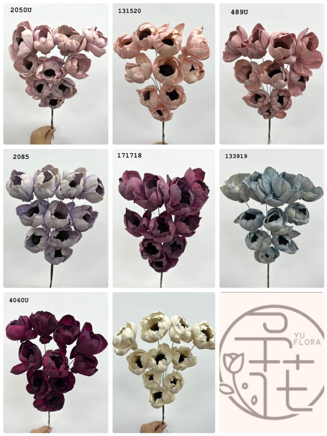 (出清印度索拉花 黑珍珠系列(5公分)