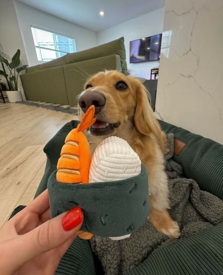 PAWTY - Sushi roll 壽司卷造型玩具