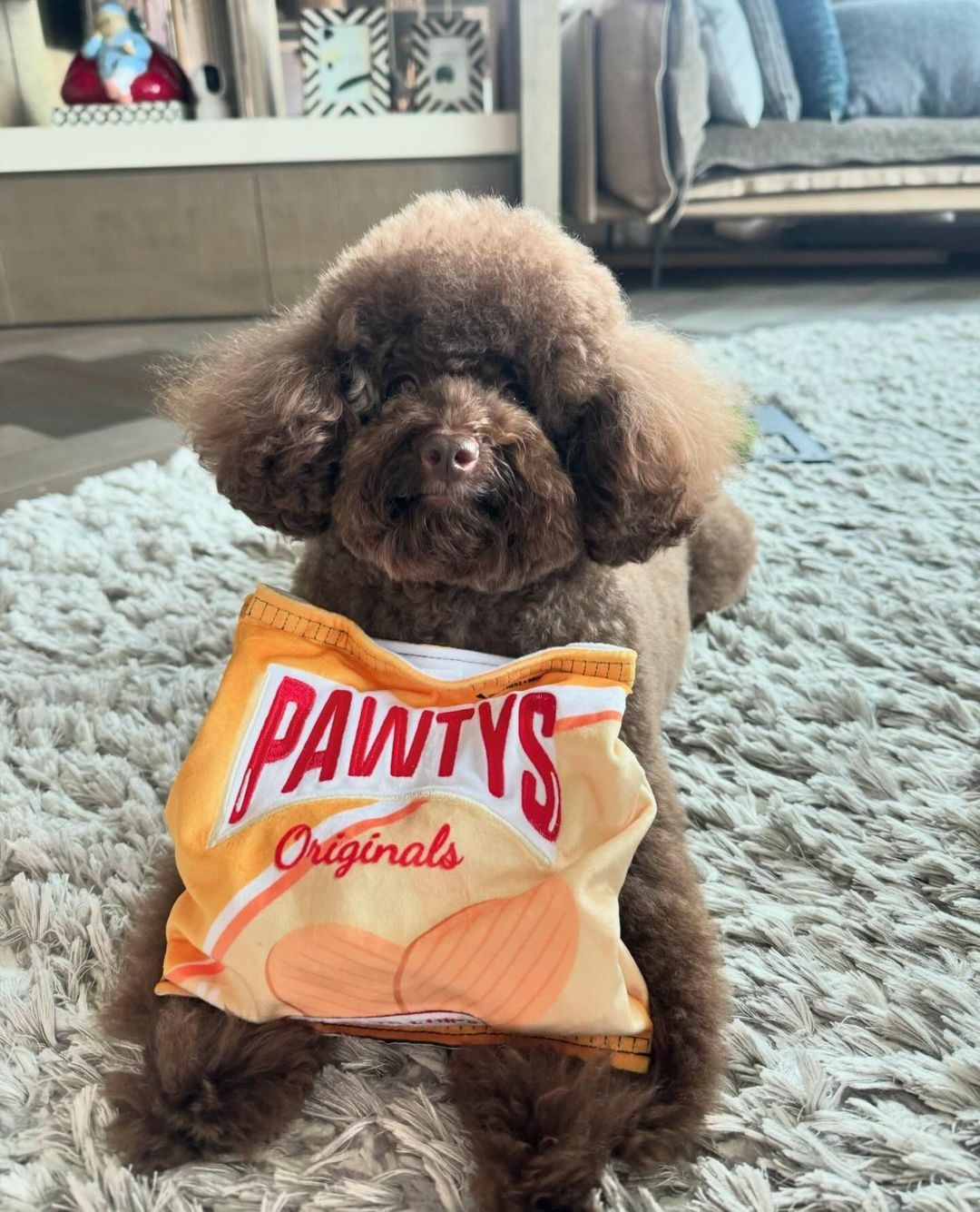 PAWTY - Pawtys Lays 馬鈴薯藏食玩具