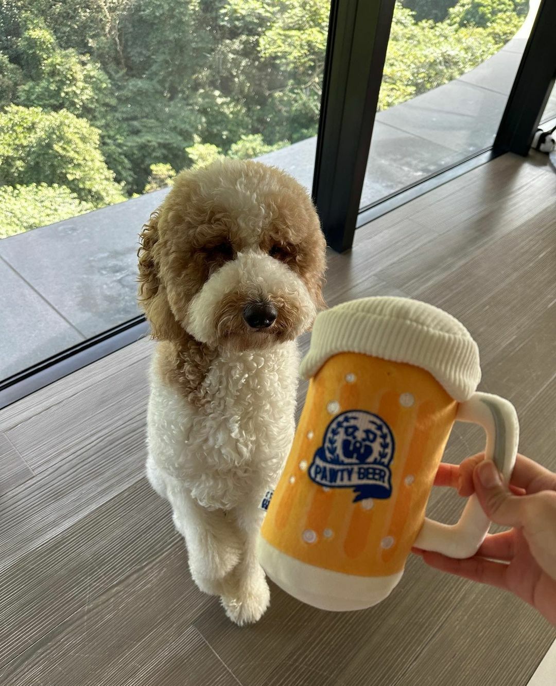 PAWTY - 啤酒杯造型發聲玩具