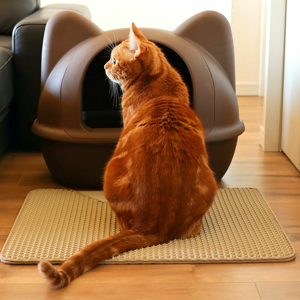 iCAT 分取式落砂墊