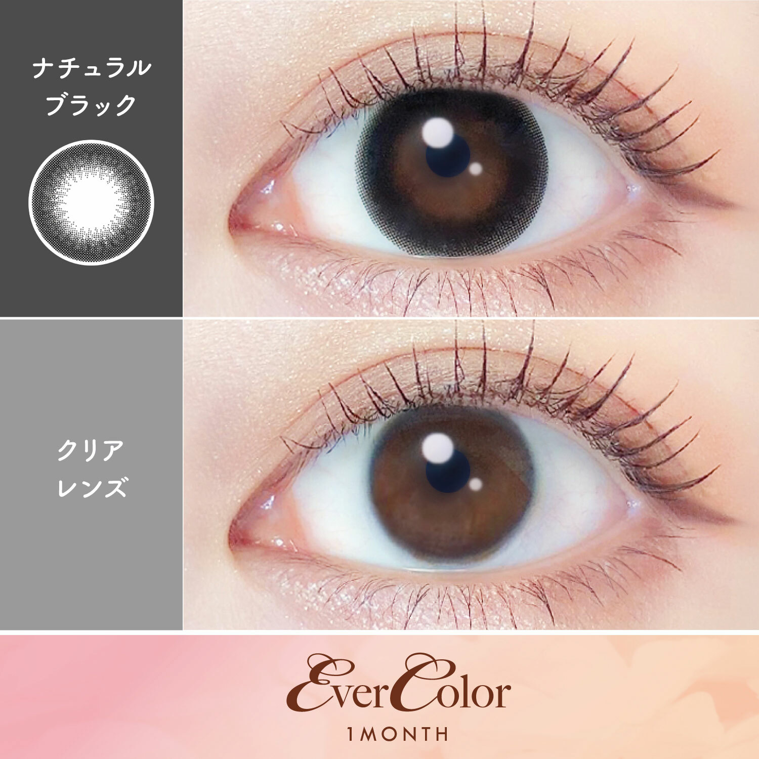 evercolor, evercolor月拋, 日本美瞳, 日本隱形眼鏡, 隱形眼鏡, 月拋美瞳, 日本evercolor,