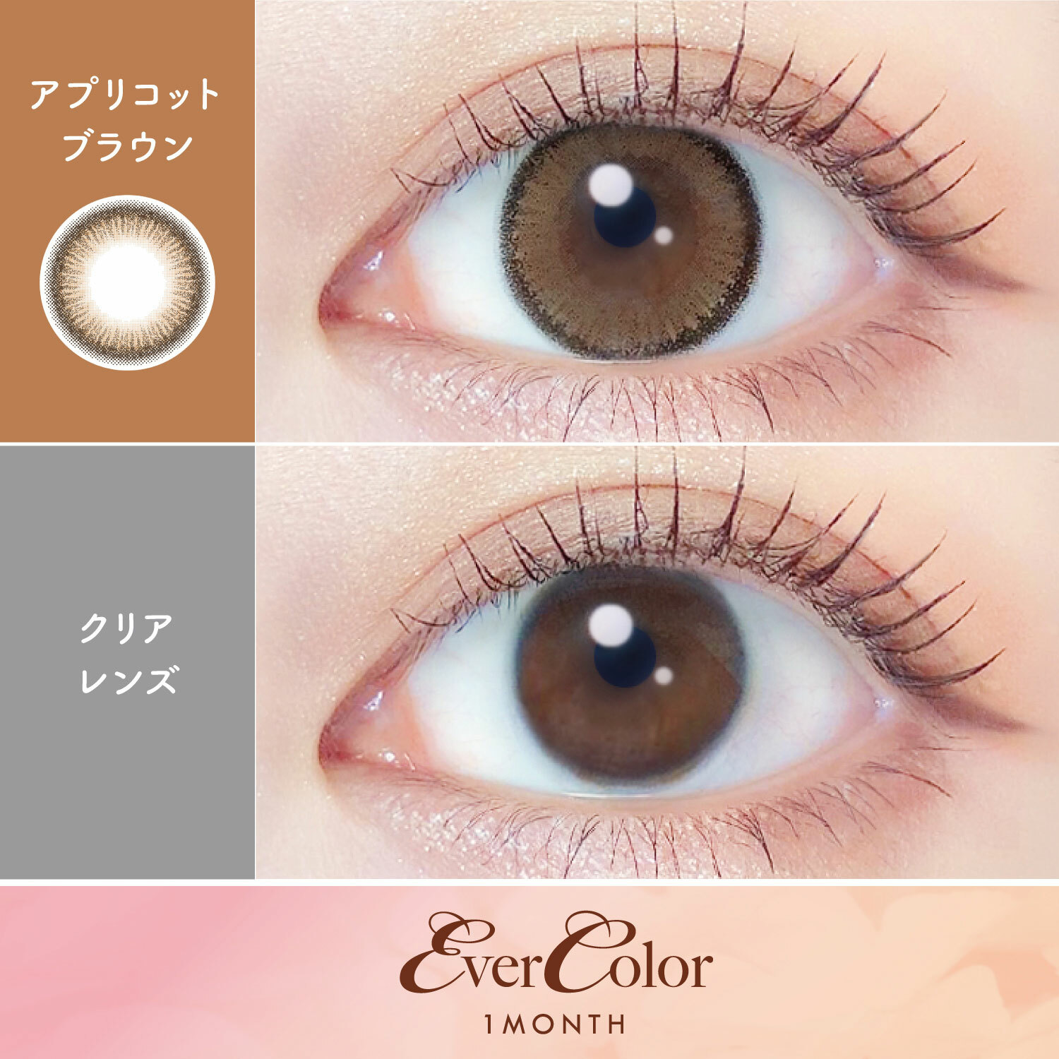 evercolor, evercolor月拋, 日本美瞳, 日本隱形眼鏡, 隱形眼鏡, 月拋美瞳, 日本evercolor,
