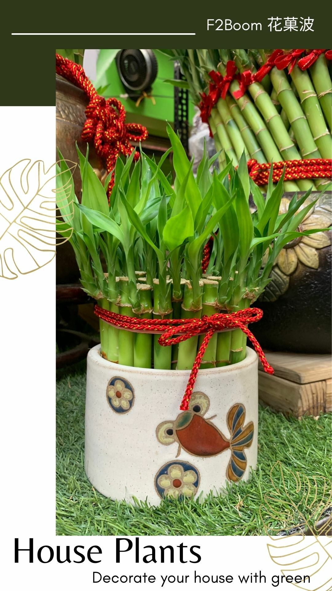 houseplants