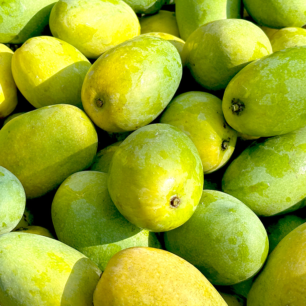 蒂頭乾淨少髒污