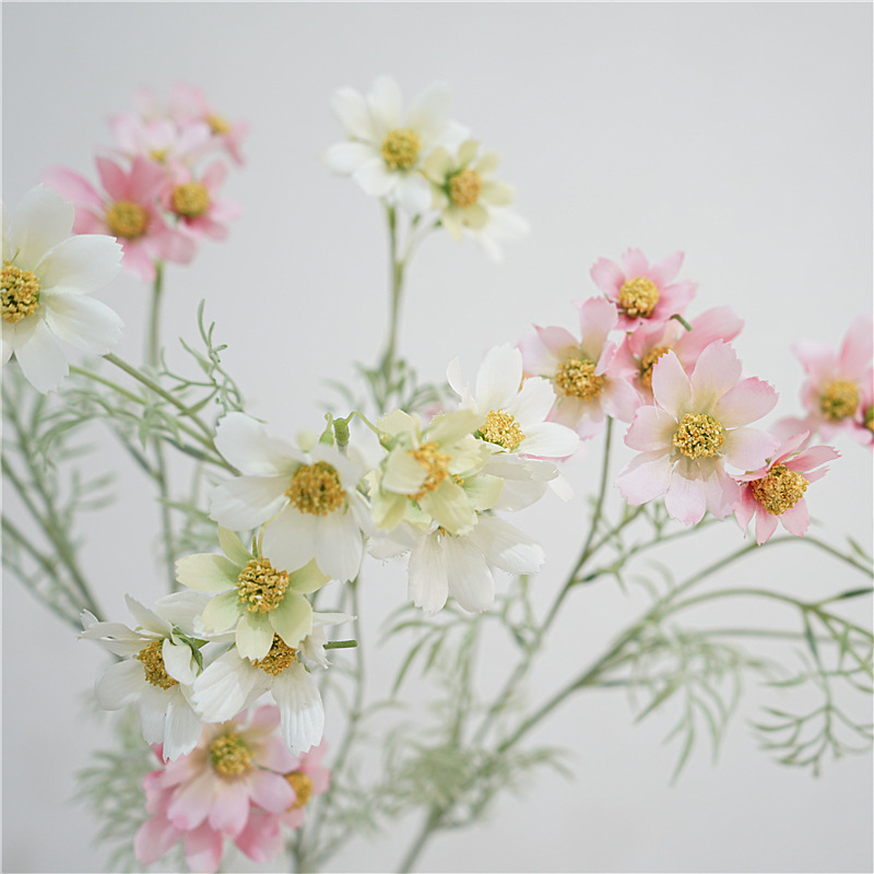 仿真星空波斯菊 (長枝)