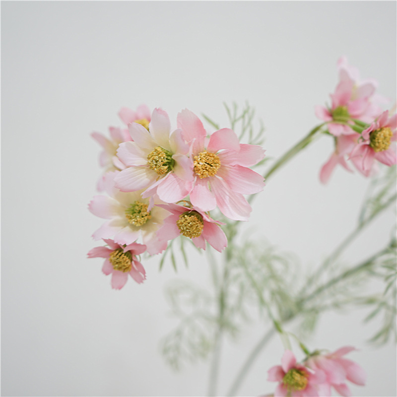 仿真星空波斯菊 (長枝)