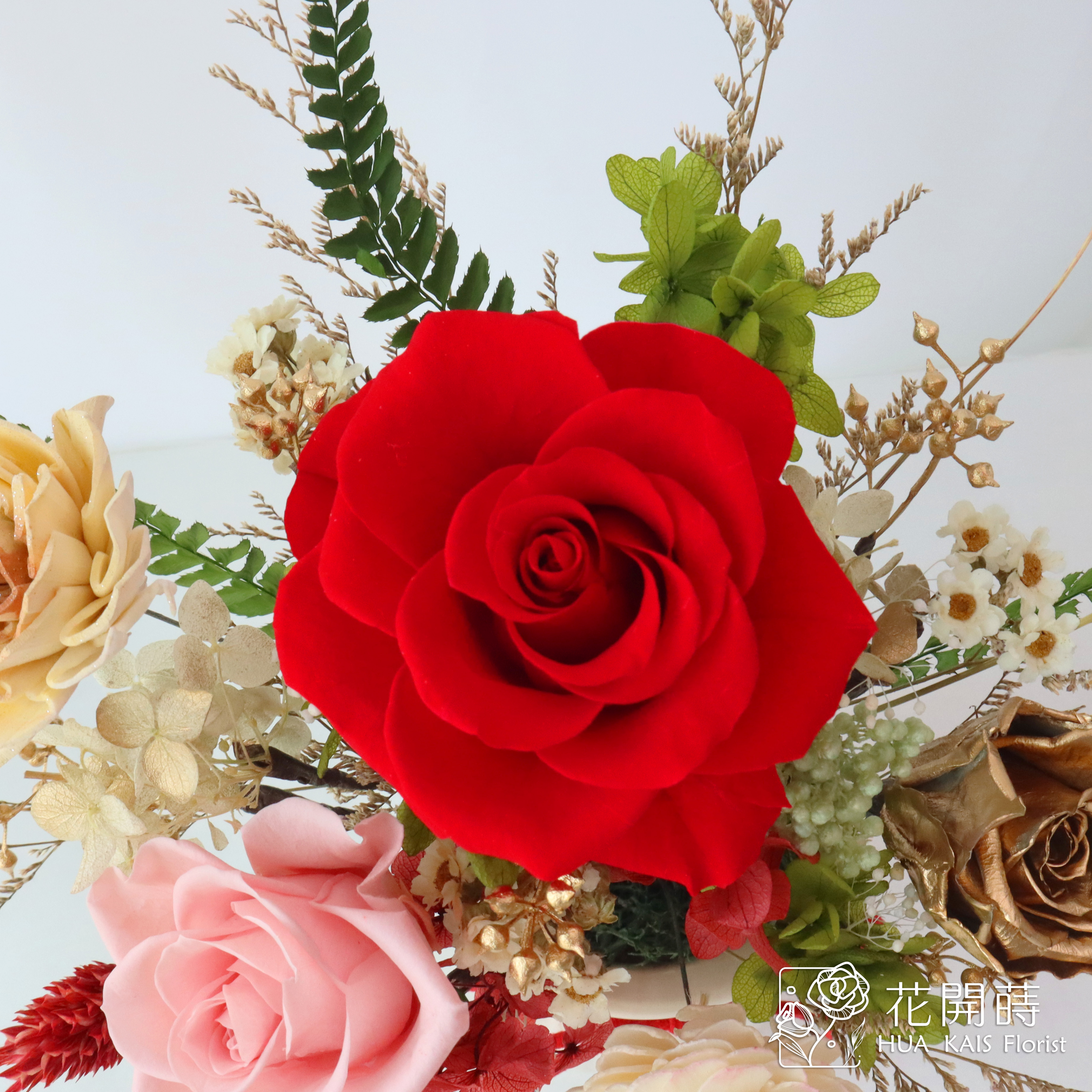 永生玫瑰小桌花|綠野仙蹤|開幕小盆栽|生日禮物|辦公桌小盆花