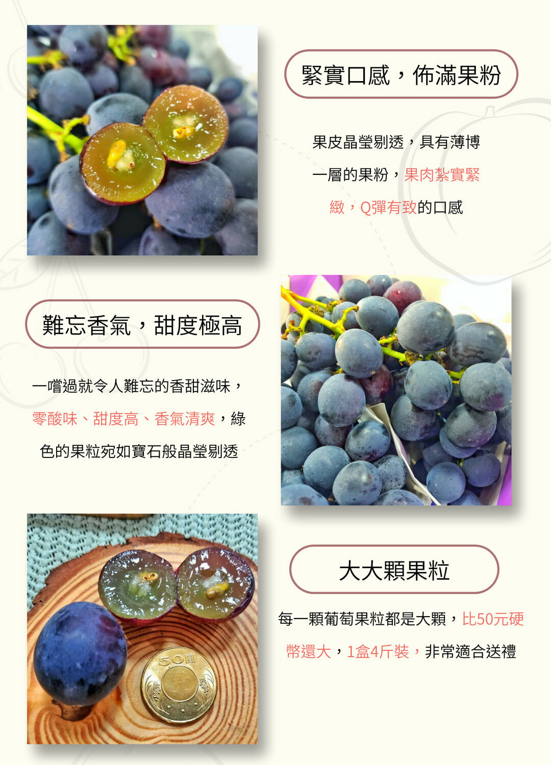 台灣Q彈紮實｜巨峰葡萄｜清新多汁