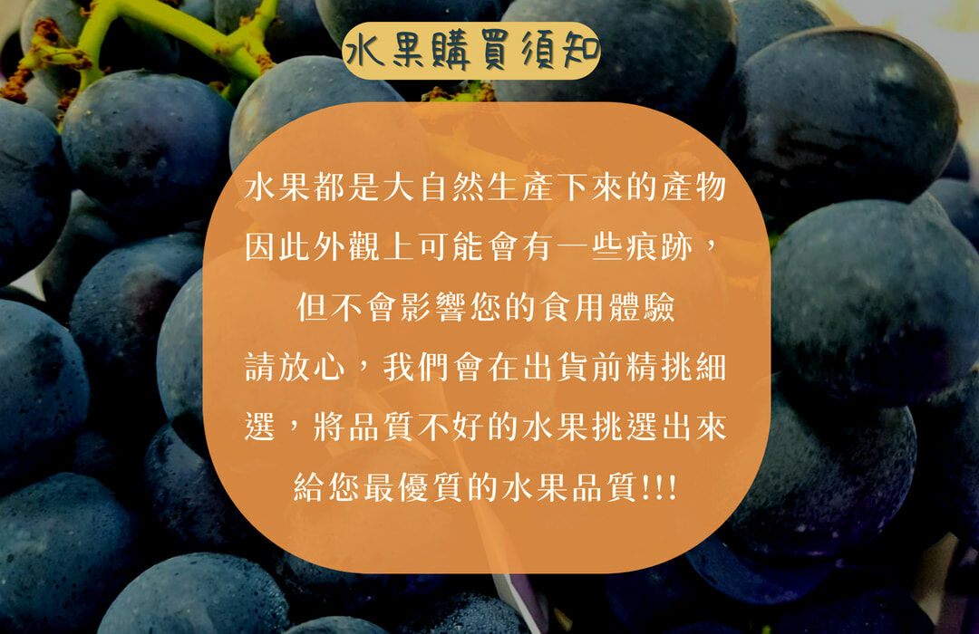 台灣Q彈紮實｜巨峰葡萄｜清新多汁