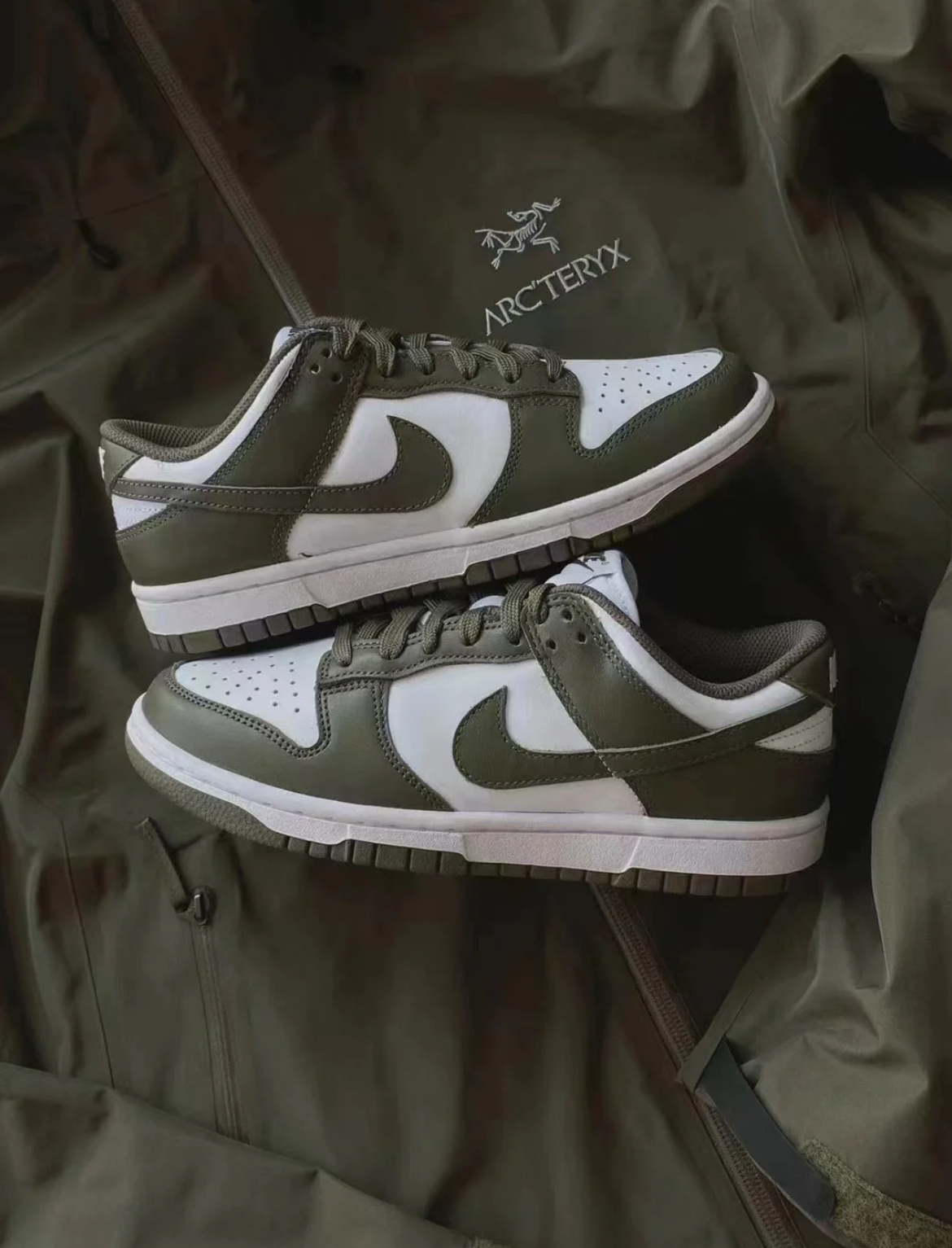 Nike Dunk Low MEDIUM OLIVE 橄欖綠 女款 DD1503-120