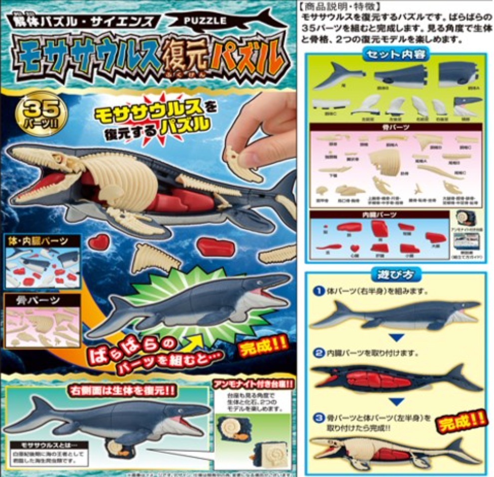 MegaHouse 代理版 盒玩 自然科學系列 滄龍 趣味拼圖