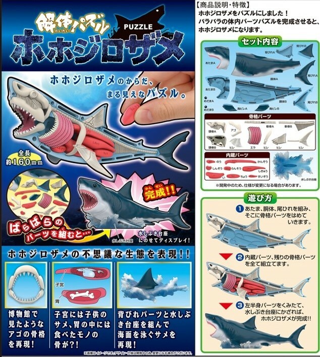 MegaHouse 代理版 盒玩 自然科學系列 鯊魚 趣味拼圖
