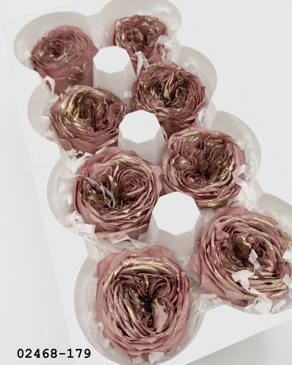 日本不凋庭園玫瑰(鑲金) 02468-179