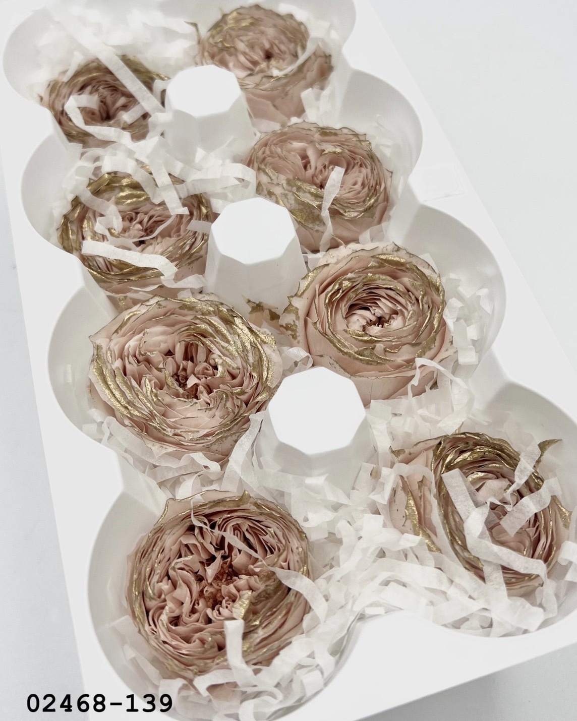 日本不凋庭園玫瑰(鑲金) 02468-139