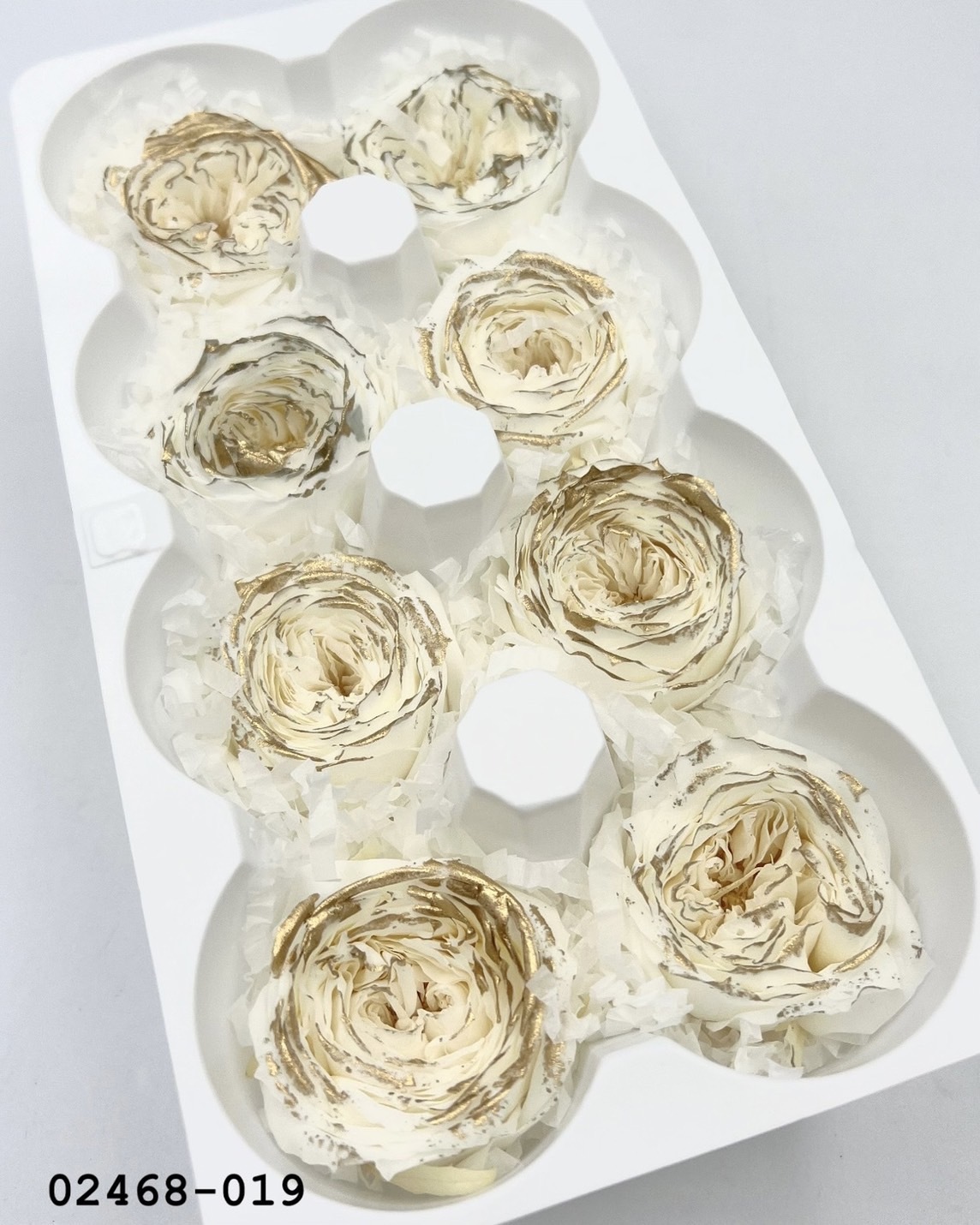 日本不凋庭園玫瑰(鑲金) 02468-019