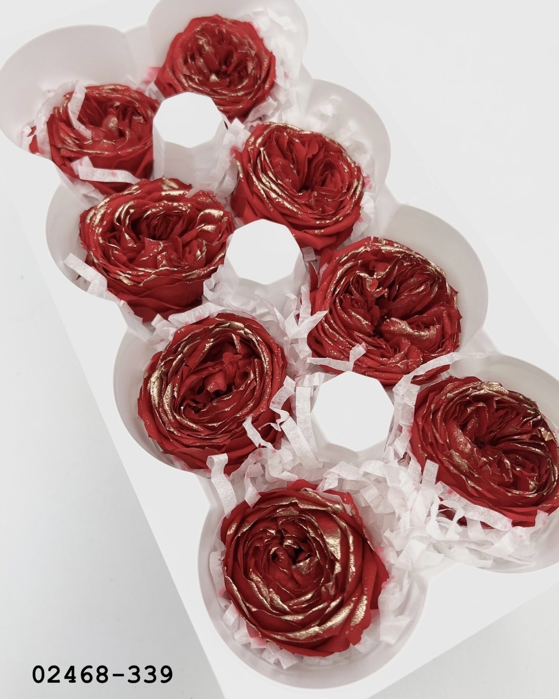 日本不凋庭園玫瑰(鑲金) 02468-339