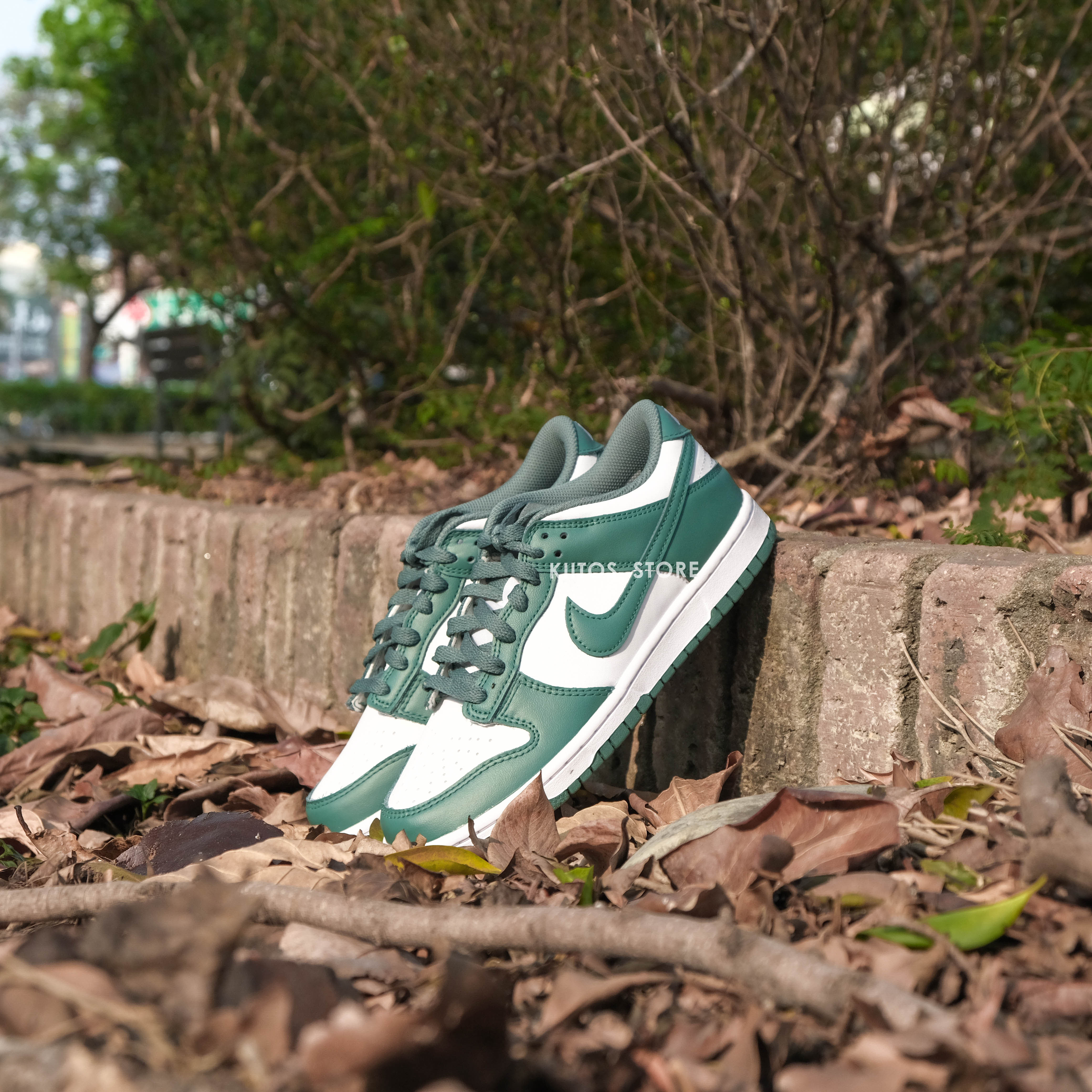 Nike Dunk Low Gs 叢林秘境白綠HF4798-100