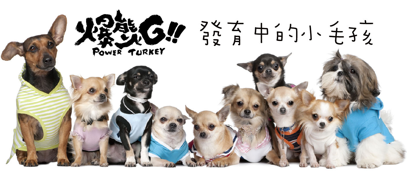 火雞肉骨泥_專為發育中的小毛孩骨骼發育打造_爆能火G_趕食髦