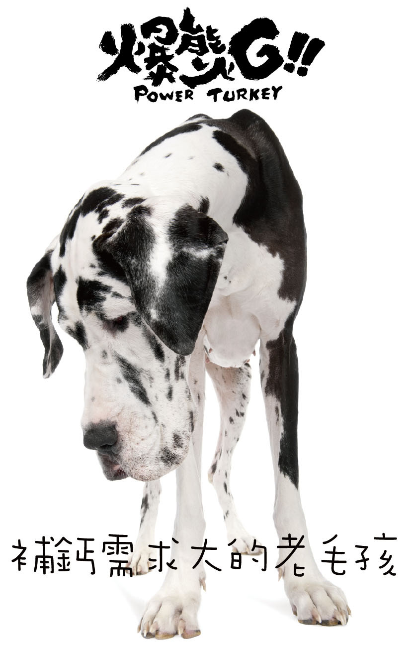 火雞肉骨泥_專為老毛孩骨骼健康強化打造_爆能火G_趕食髦