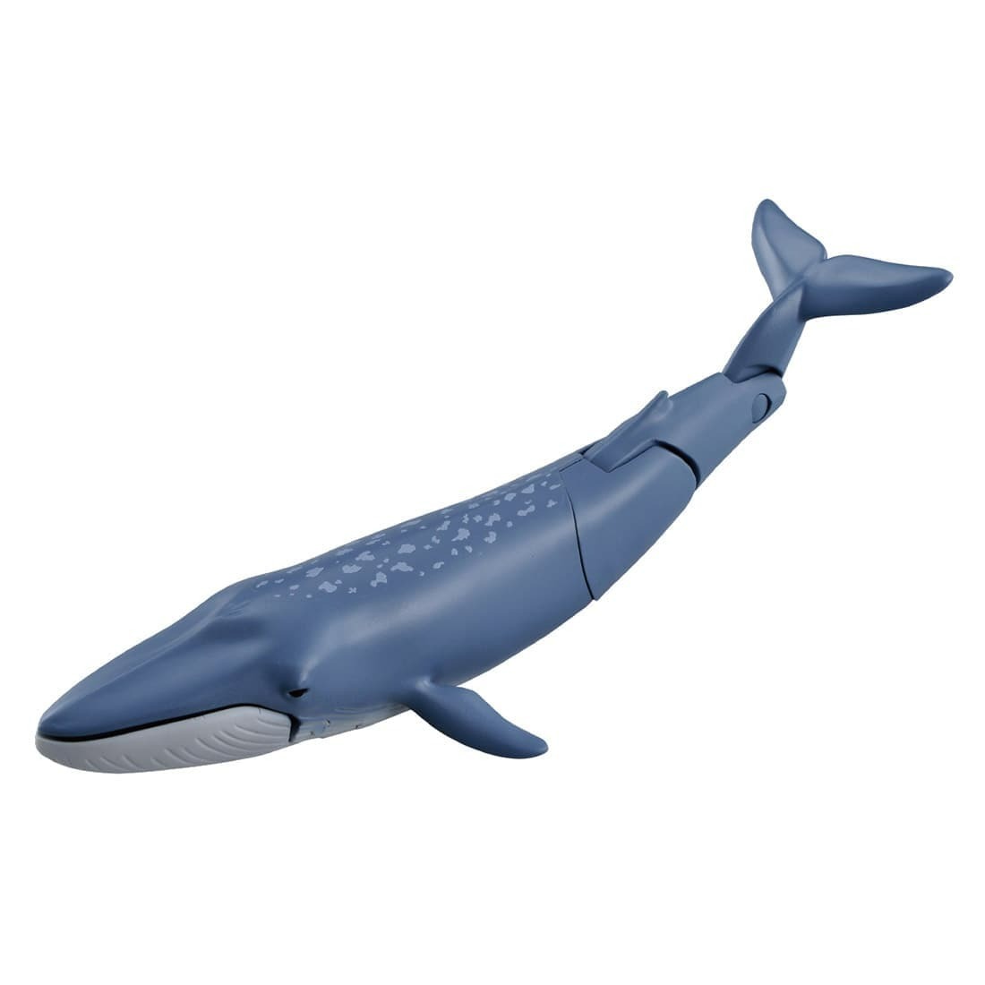 Takara Tomy ANIA Figure 動物系列 AL-23 藍鯨 Blue Whale (飄浮狀態 Flating Ver.)