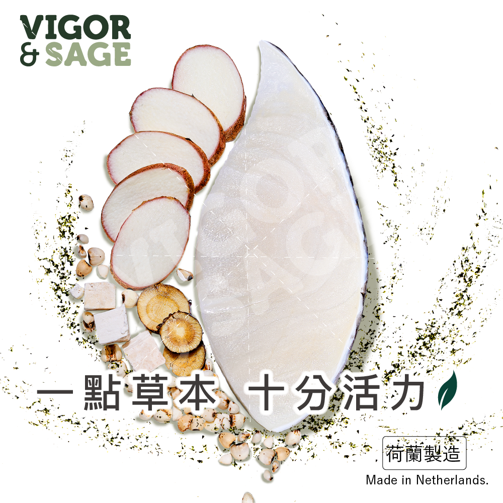 Vigor & Sage丨山藥 亞特蘭提斯白魚 低敏腸道健脾 成貓糧 2kg