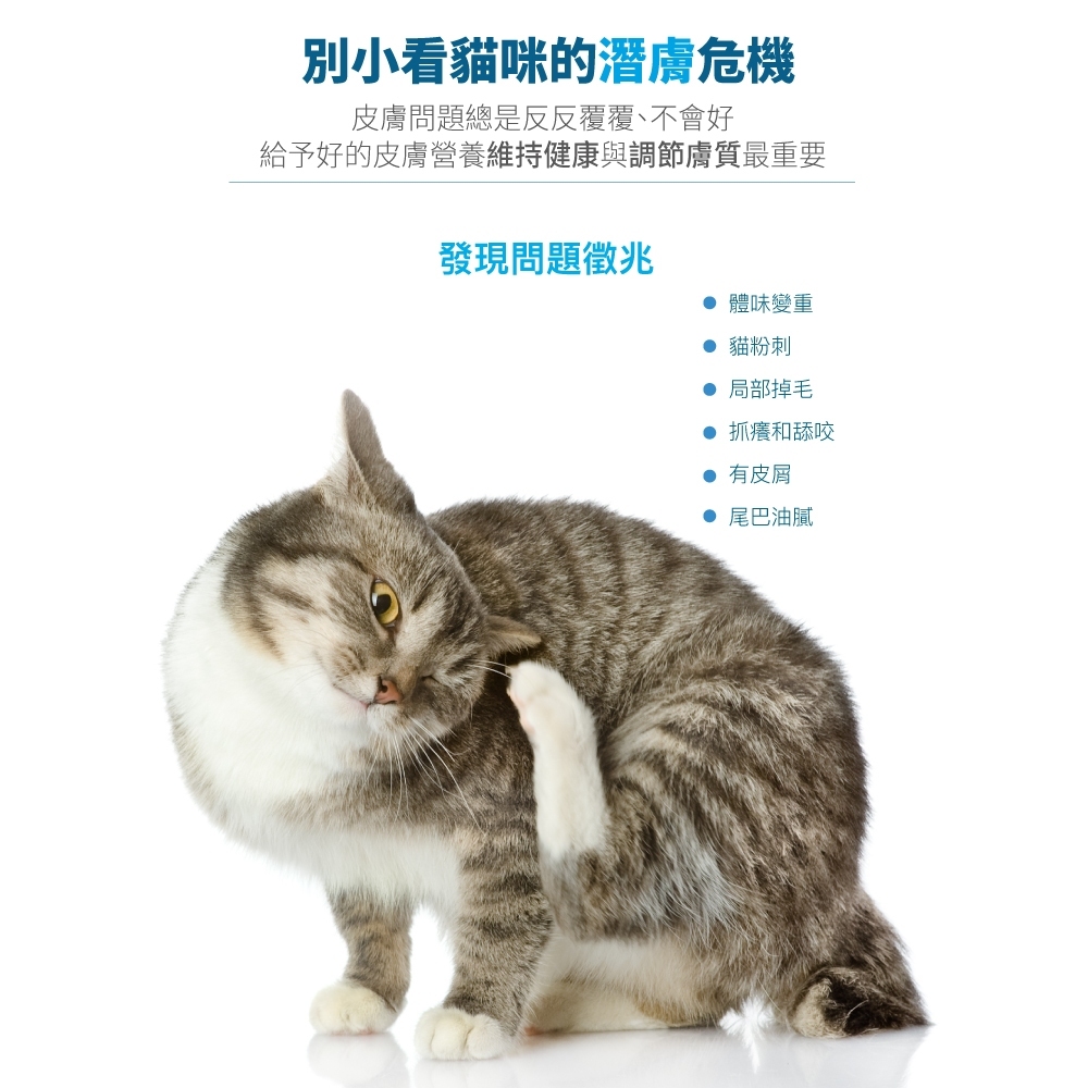 Moreson 木入森｜貓咪膚立好 (25/50包)