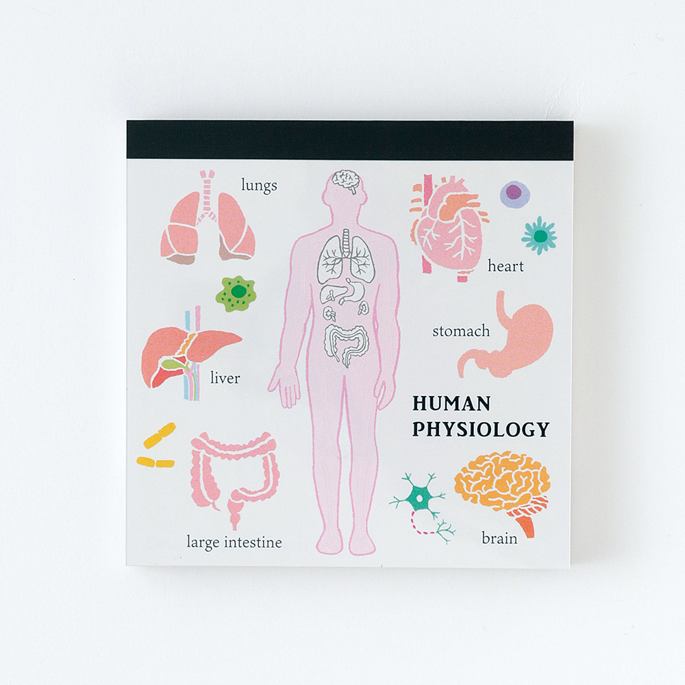 人體生物學 方形便條本 ｜日本STUDY HOLIC