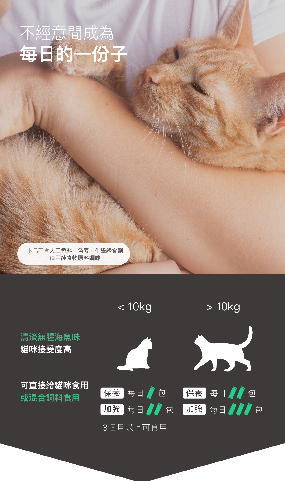 Moreson 木入森｜貓咪膚立好