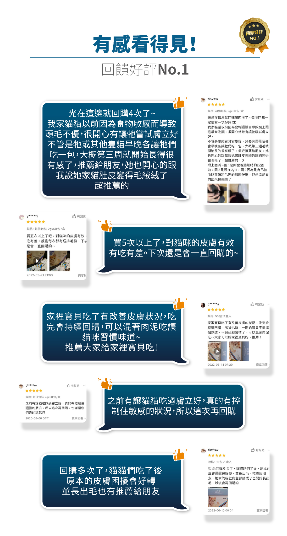 Moreson 木入森｜貓咪膚立好