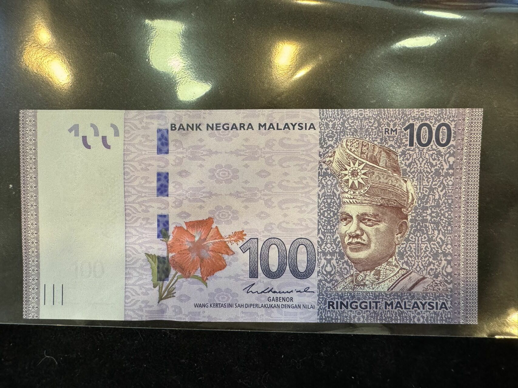 馬來西亞紙幣100元