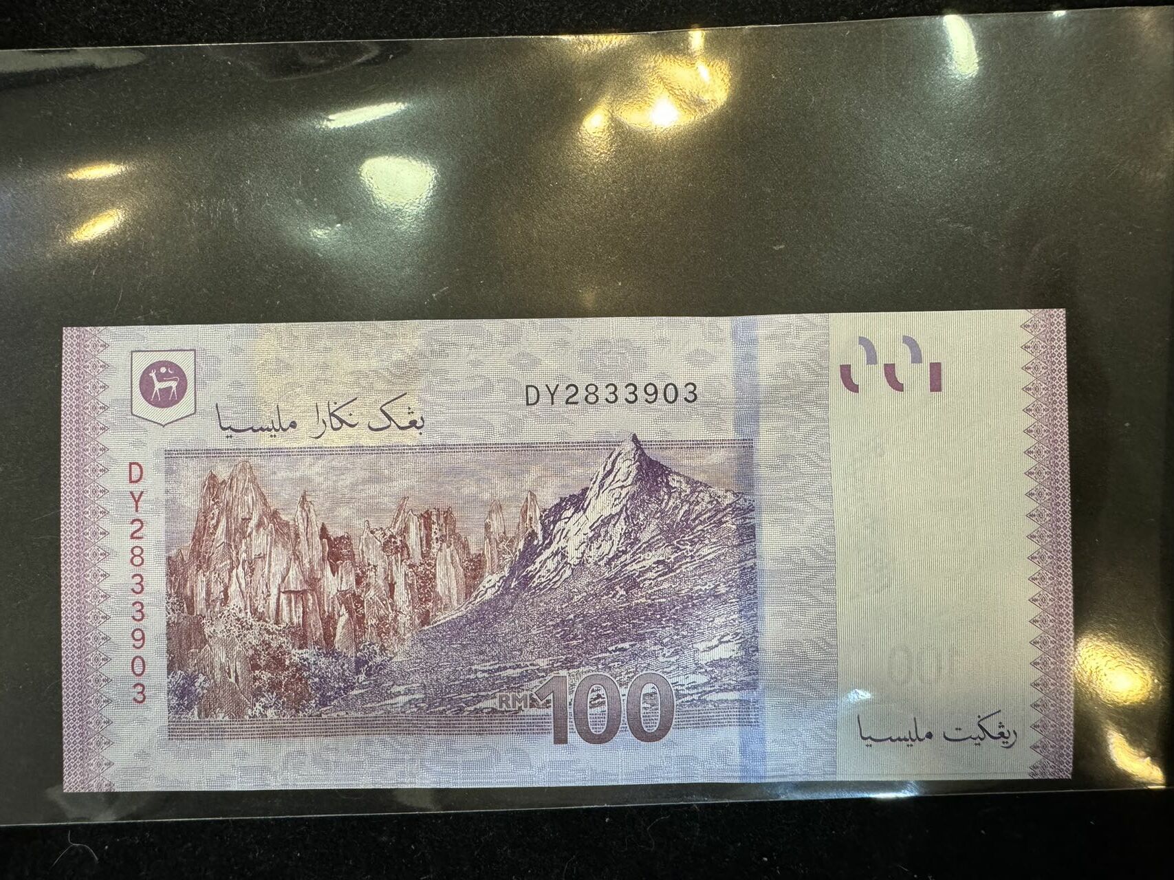 馬來西亞紙幣100元