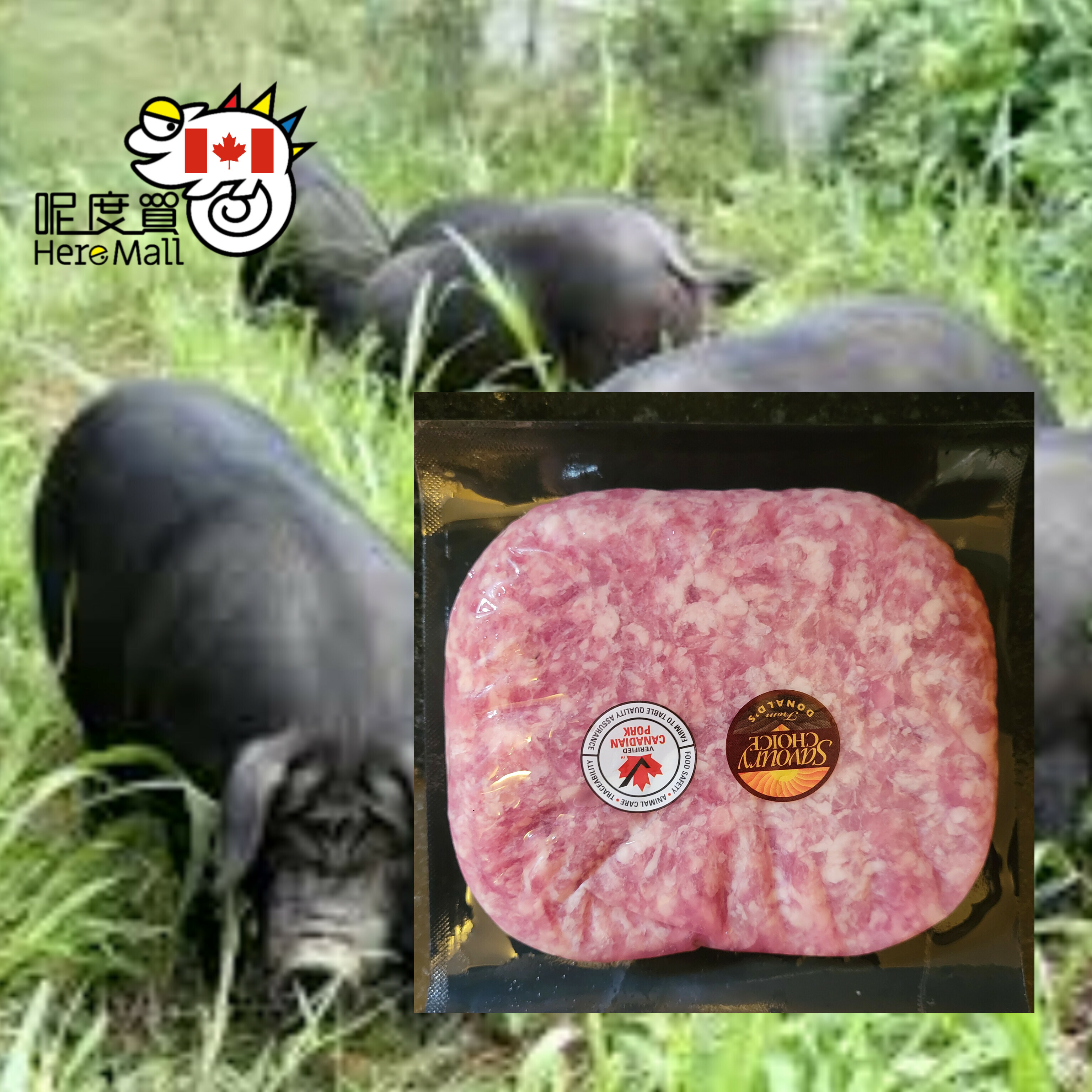 急凍加拿大"SAVOURY CHOICE"保濕技術免治豬肉300g