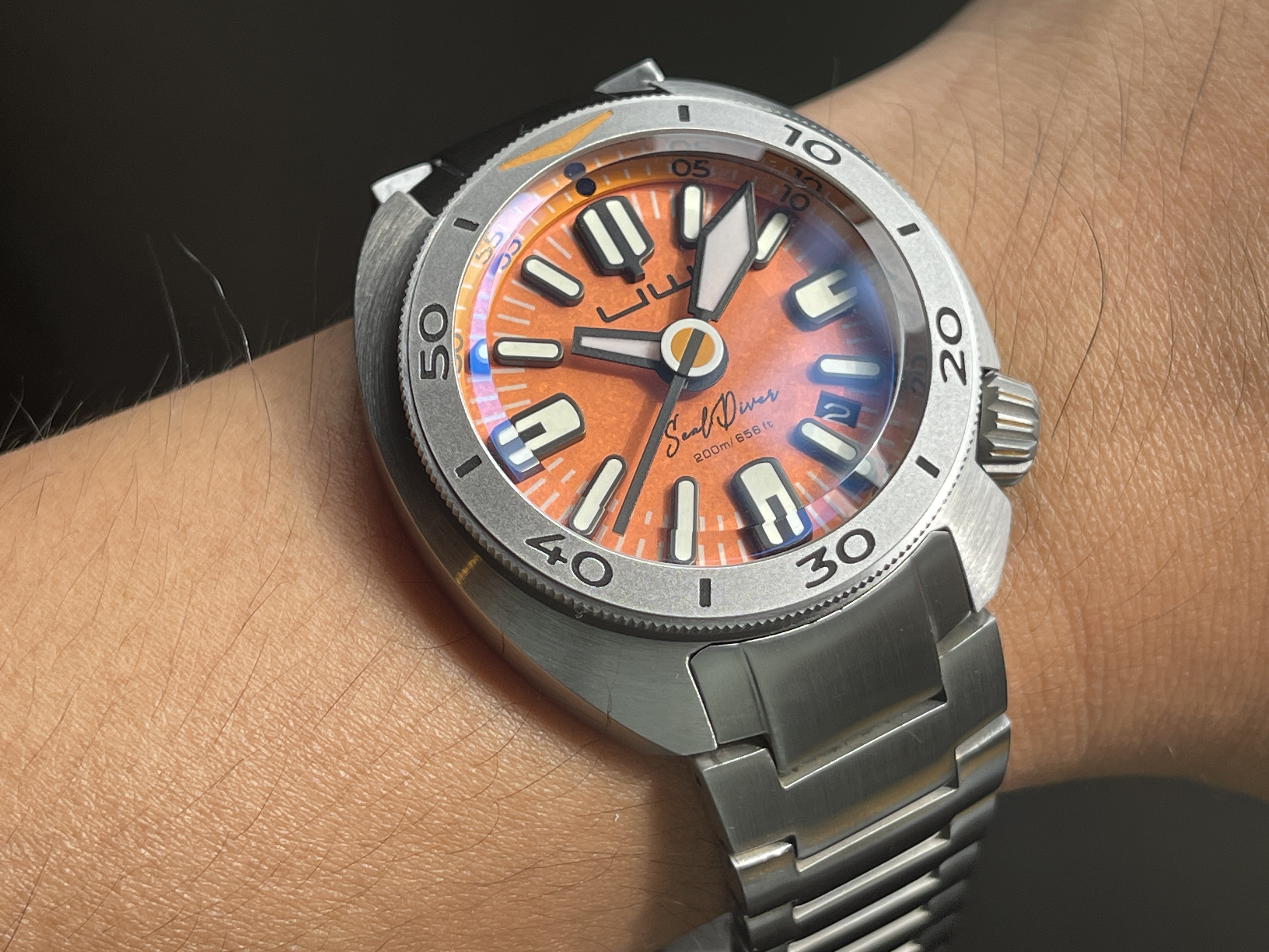 Sealdiver - Harbor Seal UD-104