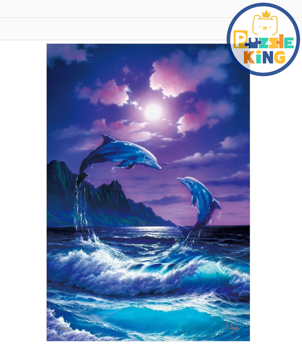 跳躍的海豚 (夜光)