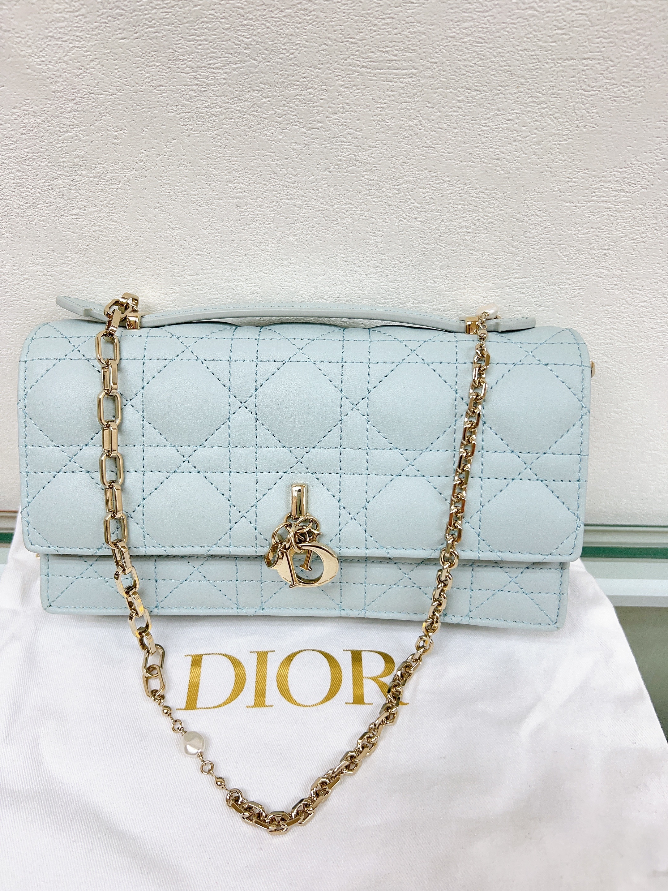 Dior my dior mini bag (baby blue)