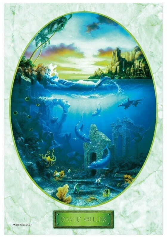 海豚聚會 (夜光)