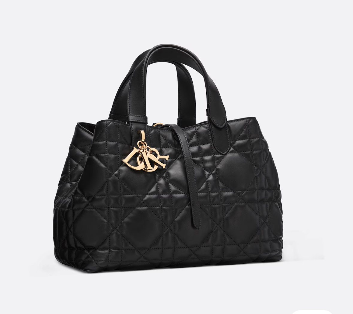 Dior toujours medium -M