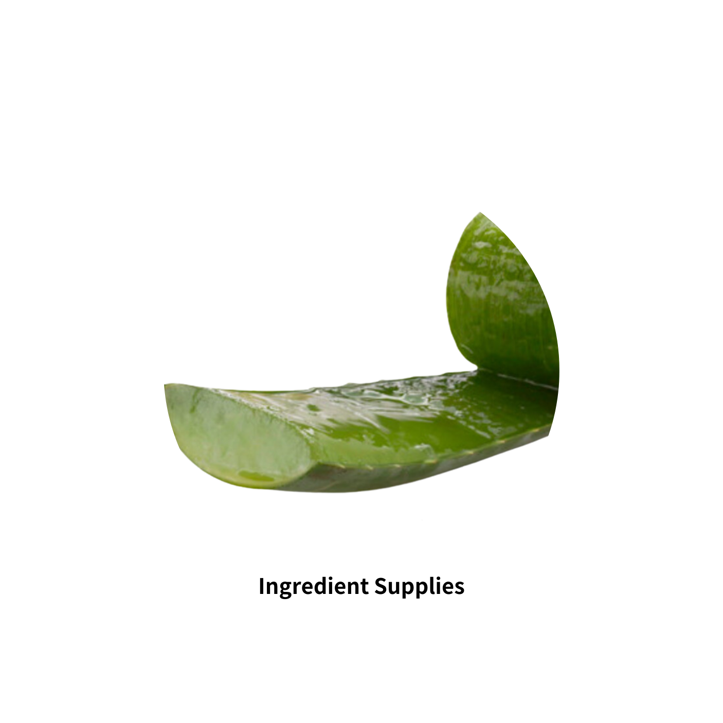 Aloe Barbadensis Leaf Juice Powder 純蘆薈濃縮粉