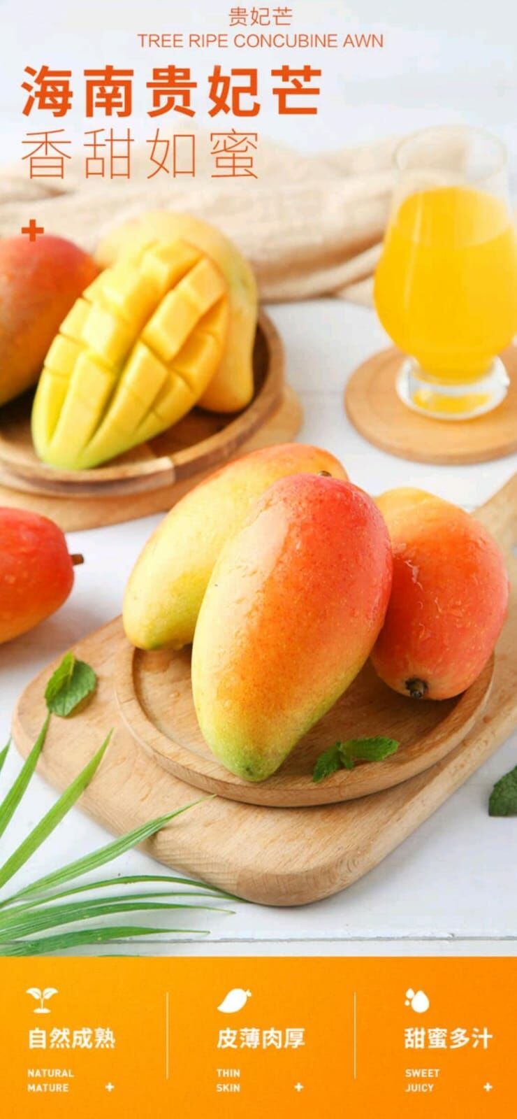 樹熟貴杞芒1.3KG