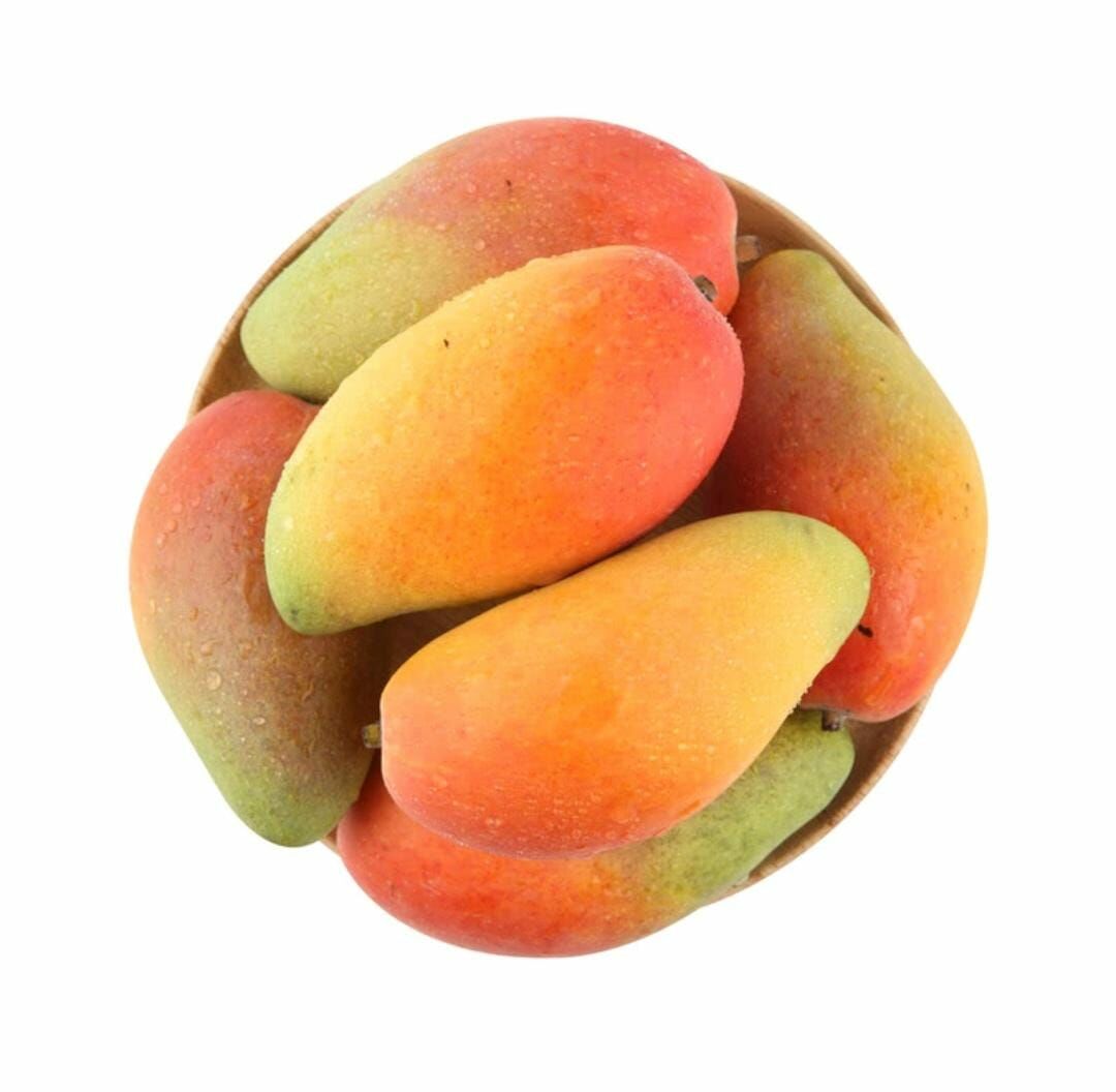 樹熟貴杞芒1.3KG