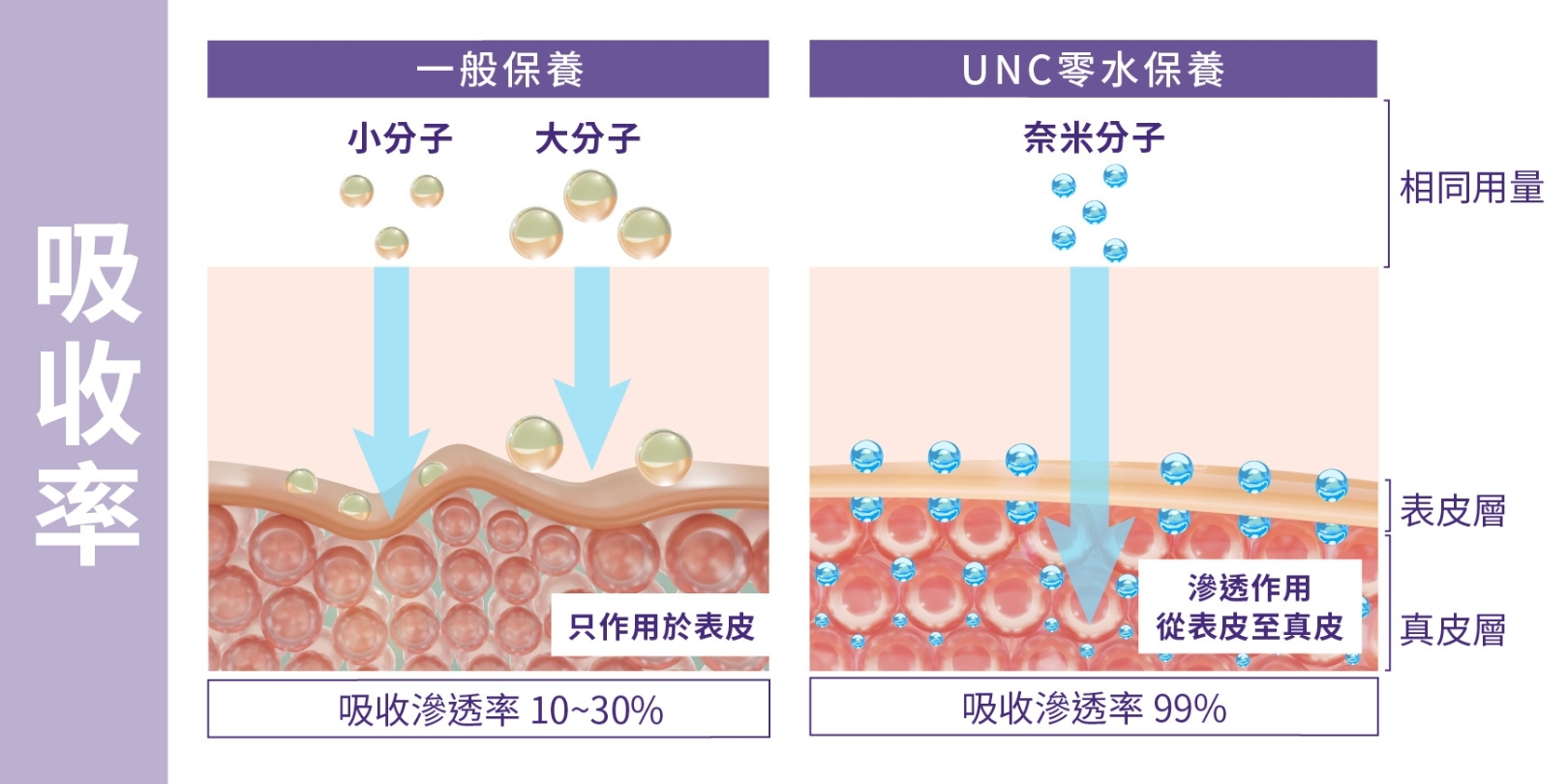 Skincare-Absorption-rate-Comparison-Chart-2