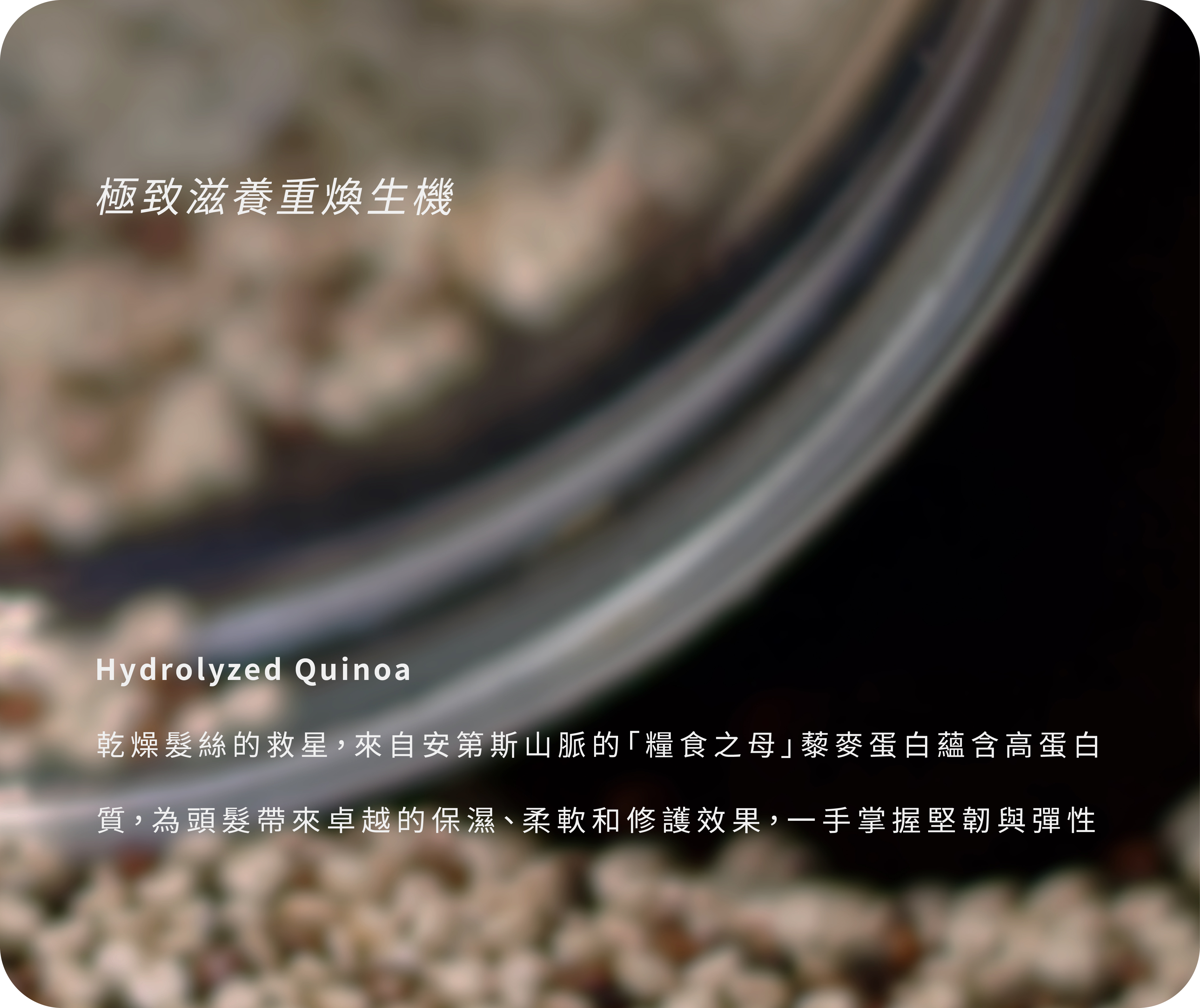 極致滋養重煥生機