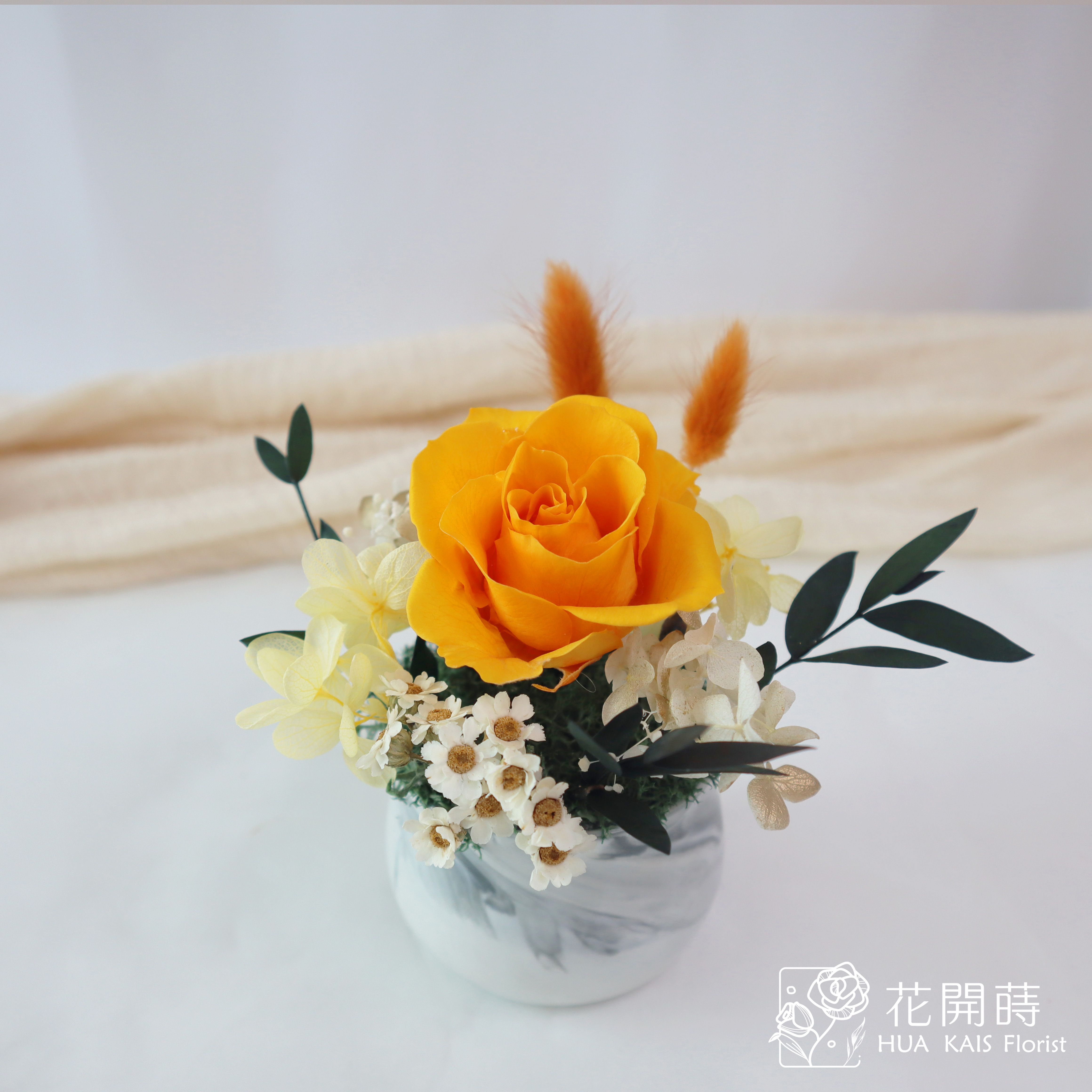 迷你小盆栽|愛馬仕橘|永生玫瑰花|辦公室小桌花|永生花禮物
