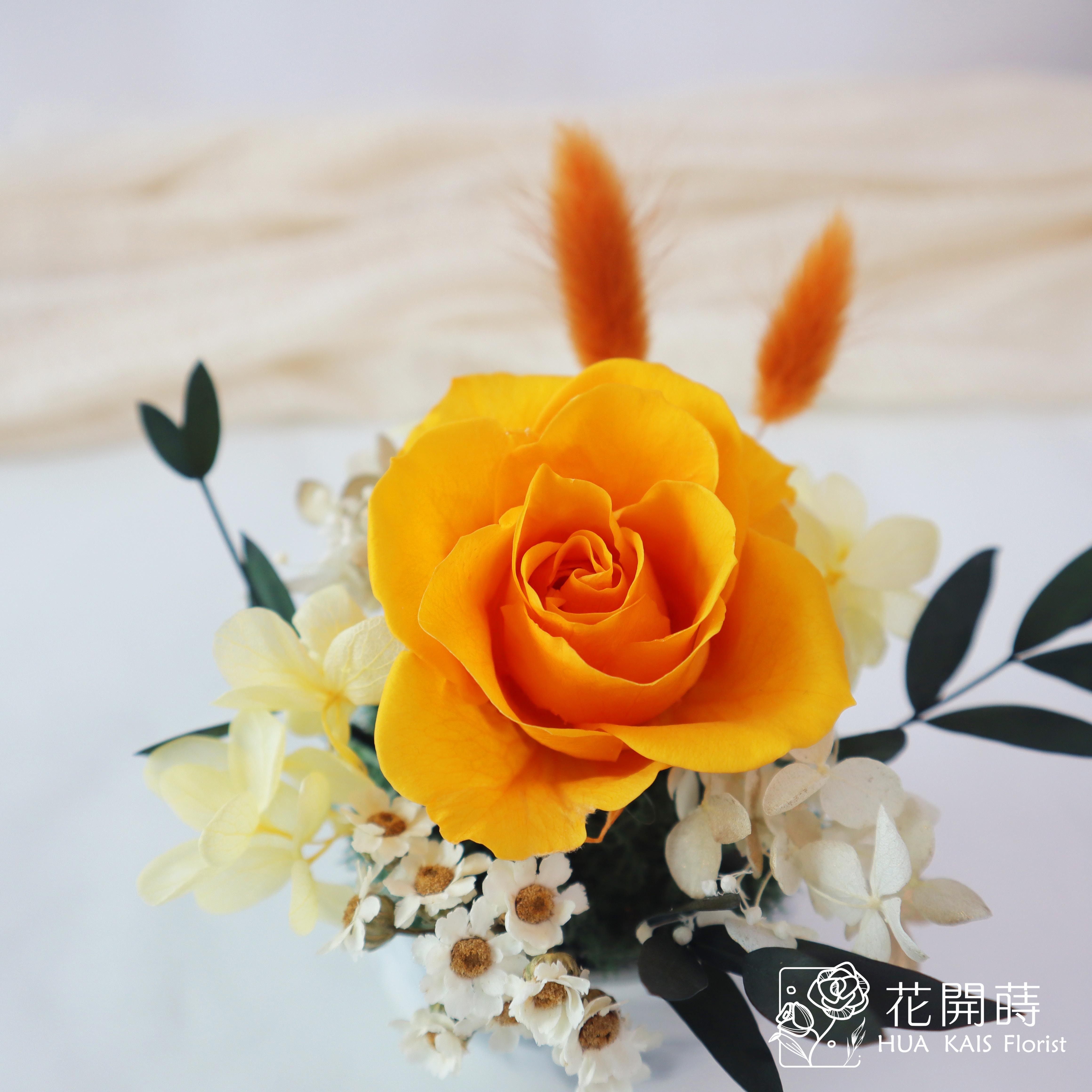 迷你小盆栽|愛馬仕橘|永生玫瑰花|辦公室小桌花|永生花禮物